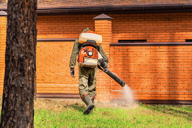 Trusted Ant Control service in New Windsor, MD - Nex Pest Control